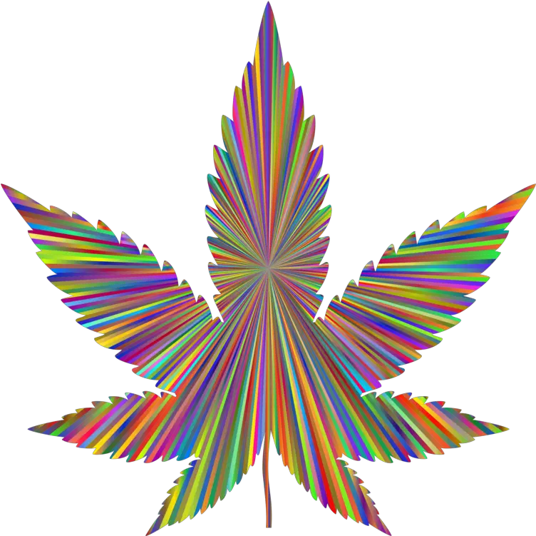  Graphic Design Plant Leaf Png Clipart Free Vectorized Marijuana Leafs Blunt Png