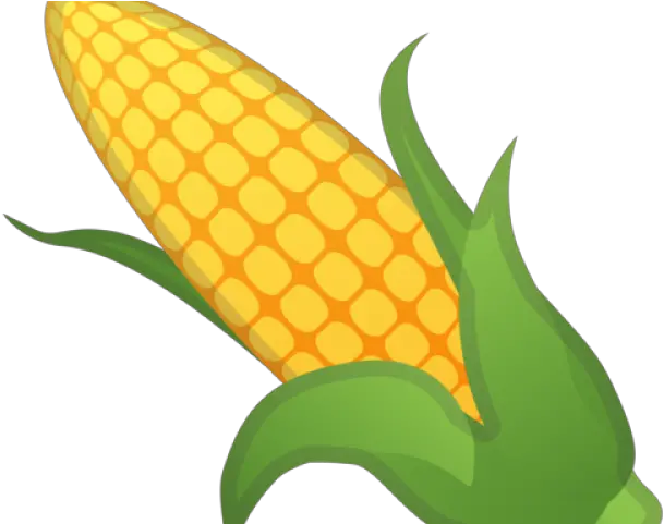  Emoji Maiz Png Ear Of Corn Cartoon Corn Clipart Png