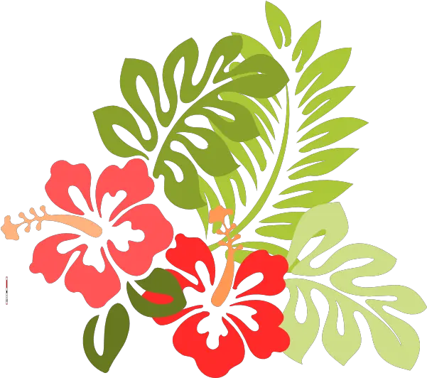  Flower Vector Free Library Png Files Lilo And Stitch Flower Hibiscus Flower Png