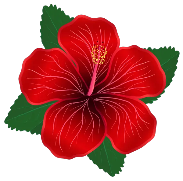  Red Flower Clipart Png Red Flower Clipart Png Hawaiian Flowers Png