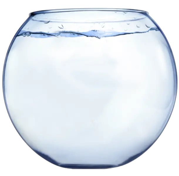  Fish Bowl Transparent Png Stickpng Fish Bowl Transparent Png Fish Png Transparent