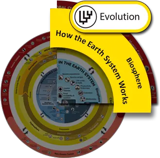  Evolution Understanding Global Change Vertical Png Evolution Png