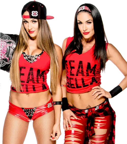  Brie Bella Bella Twins Wwe Png Brie Bella Png