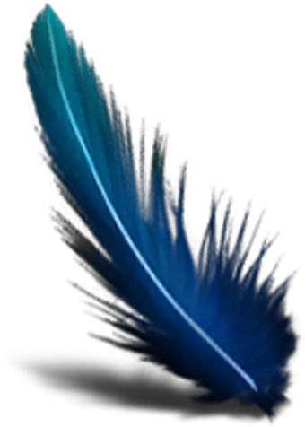  Blue Feather Transparent Background Green Feather Transparent Background Png Feather Transparent Background