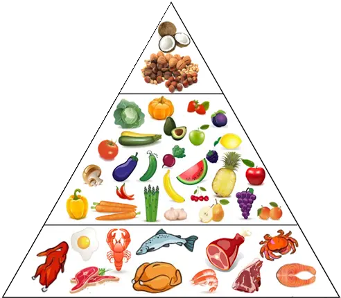  Paleo Diet For Beginners Healthy Eating Pyramid Transparent Png Food Pyramid Png