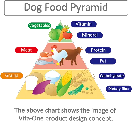  Nippon Pet Food Coltd Website Sight Words Png Food Pyramid Png