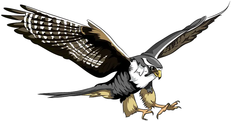  Peregrine Falcon Clipart Peregrine Falcon Clipart Png Falcon Transparent