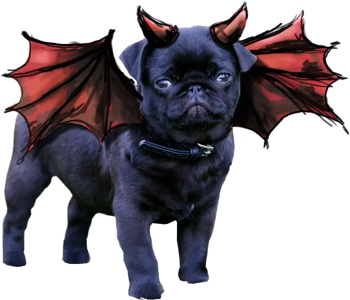  Transparent Pugs Animals Bulldog Satanic Pug Png Pug Transparent