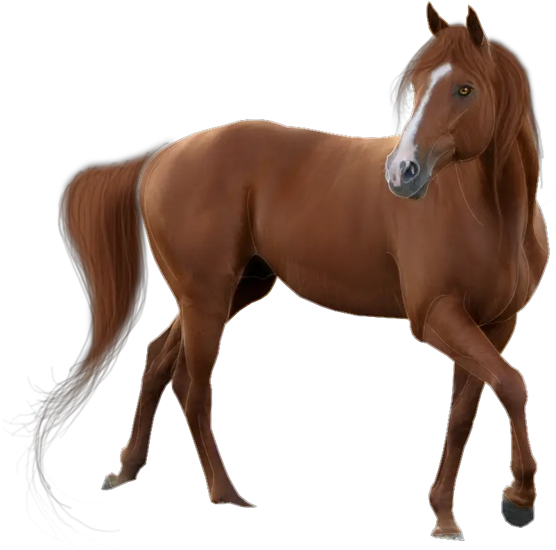  Horse Transparent Hd Horse Transparent Background Png Horses Png