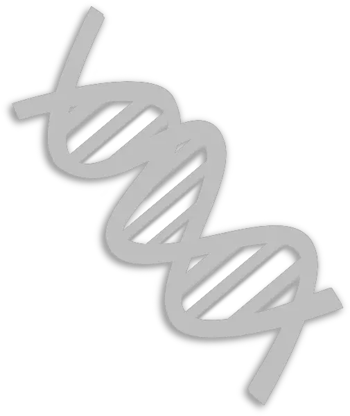  Dna Png Clip Arts For Web Clip Arts Free Png Backgrounds Dna White Clipart Dna Png