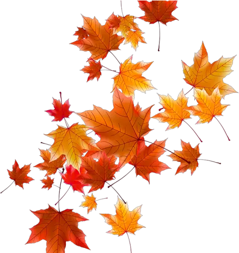  Download Free Autumn Falling Vector Leaf Png Photo Icon Real Autumn Leaves Png Autumn Leaves Icon