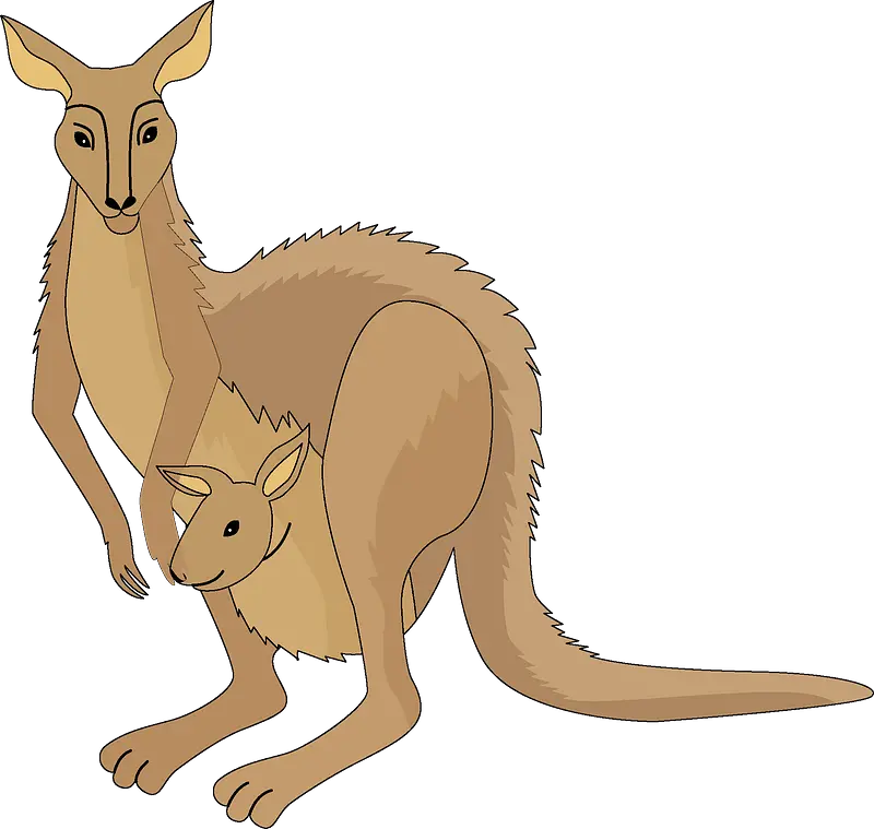  Kangaroo Clipart Free Download In Png Or Vector Format Kangaroo Kangaroo Png