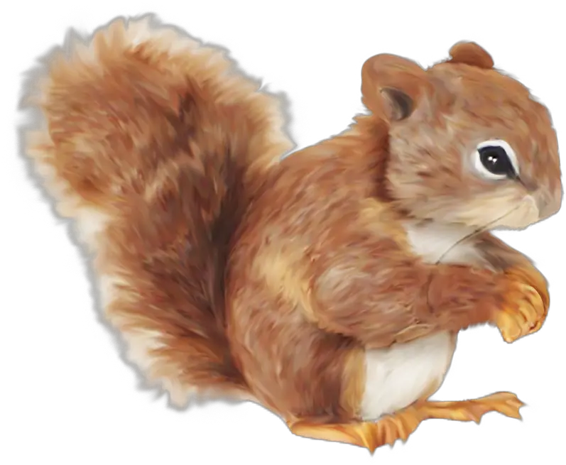  Squirrel Cartoon Clip Art Transparent Red Squirrel Cartoon Png Squirrel Transparent