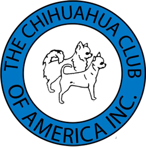  The Chihuahua Club Of America The Official Akc Parent Club Chihuahua Club Of America Png Chihuahua Png