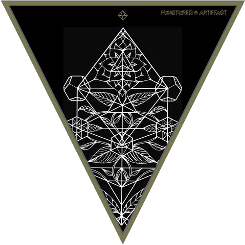  Download Tree Of Life Geometric Sacred Geometry Png Asiatique The Riverfront Geometry Png