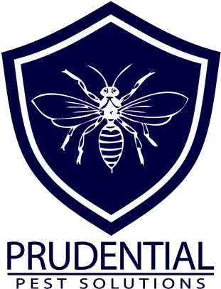  Prudential Pest Solutions Wildlifehelporg Dental Perfection Png Prudential Logo