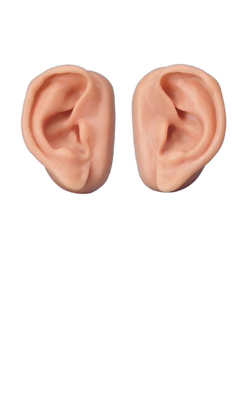  Download Ear Png Image For Free Transparent Background Ears Png Ear Png