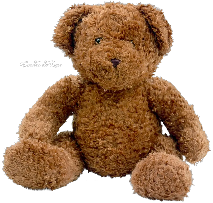  Bear Doll Png Image Teddy Bear Transparent Background Doll Png