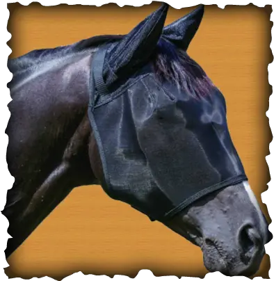  Fly Mask Manufacturer In Uttar Pradesh India By Alano Exims Sacred Sites Ap Human Geography Png Horse Mask Png