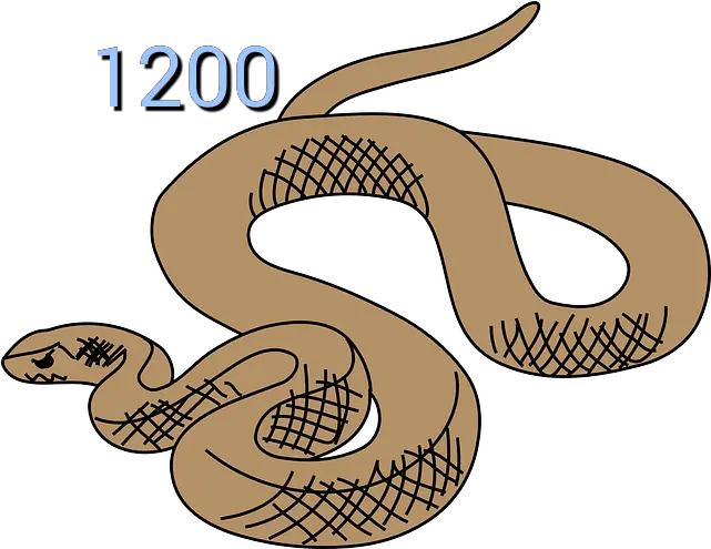  Brown Snake Clipart Information Report Animal Template Year 3 Png Snake Transparent Background