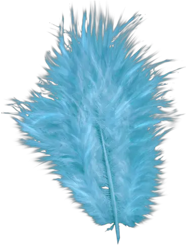  Download Purple Peacock Feather Clip Art Png Blue Feather Transparent Background Feather Drawing Png