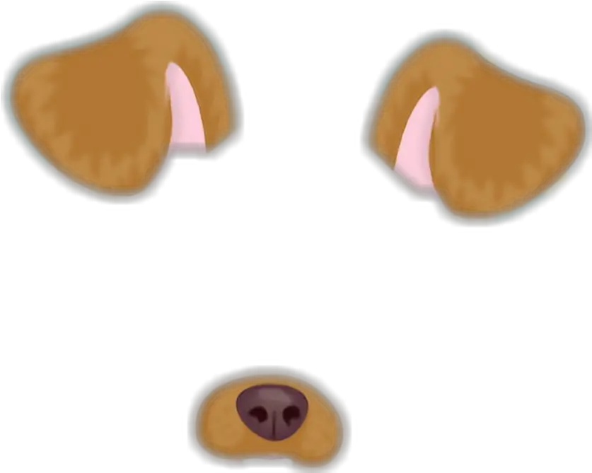  Dog Paddle Animal Doge Snapchat Snapchat Png Snapchat Heart Filter Png