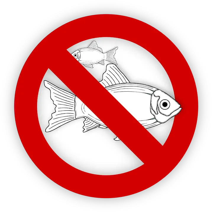  Fish Allergy Food No Free Vector Graphic On Pixabay Angel Tube Station Png Fish Icon Png