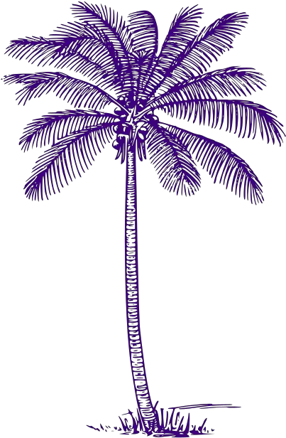  Palm Tree Png Svg Clip Art For Web Coconut Tree Clip Art Palm Tree Icon