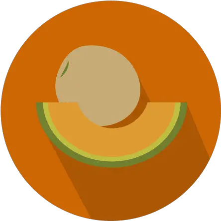  Melon Flat Circle Icon Transparent Png U0026 Svg Vector File Melon Png Icon Melon Png