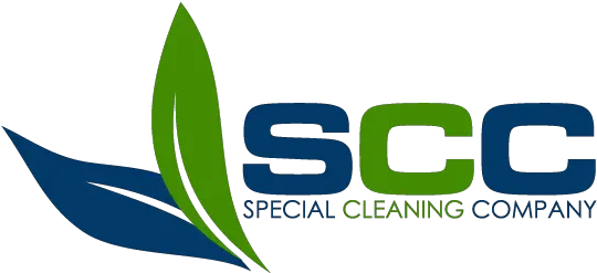  Enzyme Cleaning Special Company Graphic Design Png Cleaning Company Logos