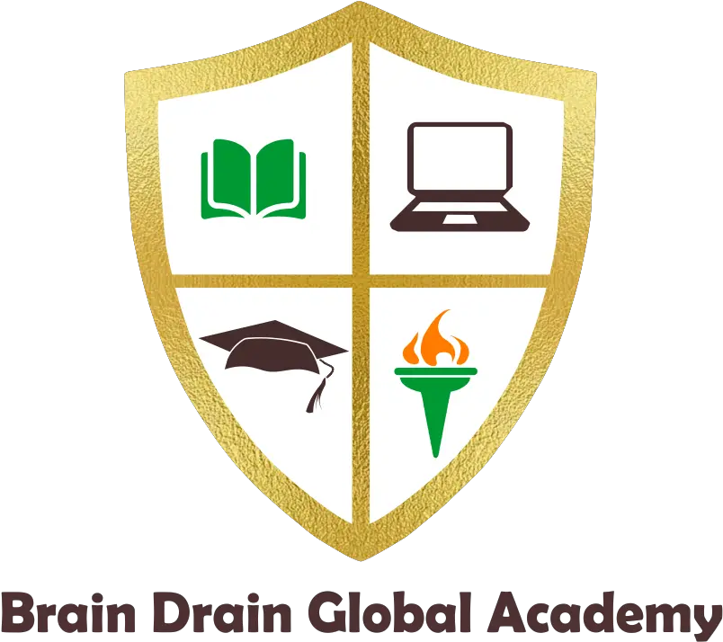  Ceo Brain Drain Global Academy Png Icon