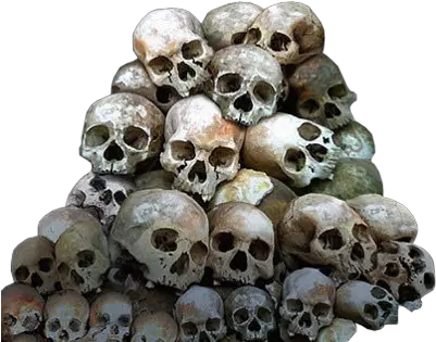  Bone Pile Png Image Pile Of Skulls Art Bone Transparent Background