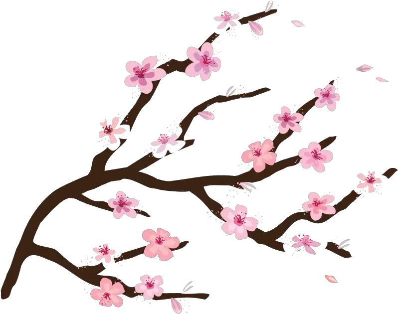  Collection Of Peach Blossom Png Images Easy Cherry Blossom Tree Clipart Tong Hop Icon Dep