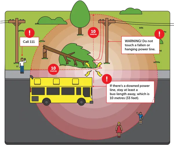  What To Do Fallen Power Line Cartoon Png Power Lines Png