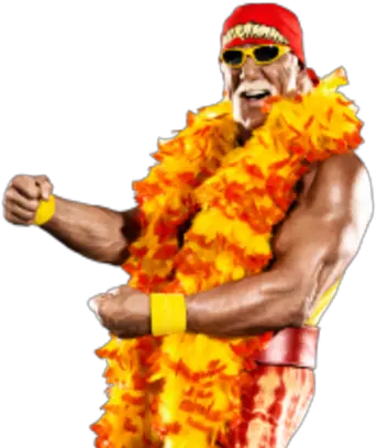  Hulk Hogan Hulk Hogan Png Hulk Hogan Transparent