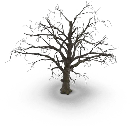  Spooky Tree Png Hd Mart Dry Bush Tree Branches Png