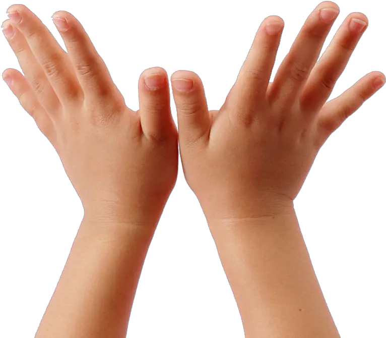  Child Hand Png Child Hands Clipart Hands Transparent