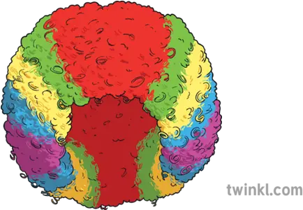  Clown Wig Illustration Circle Png Clown Wig Png