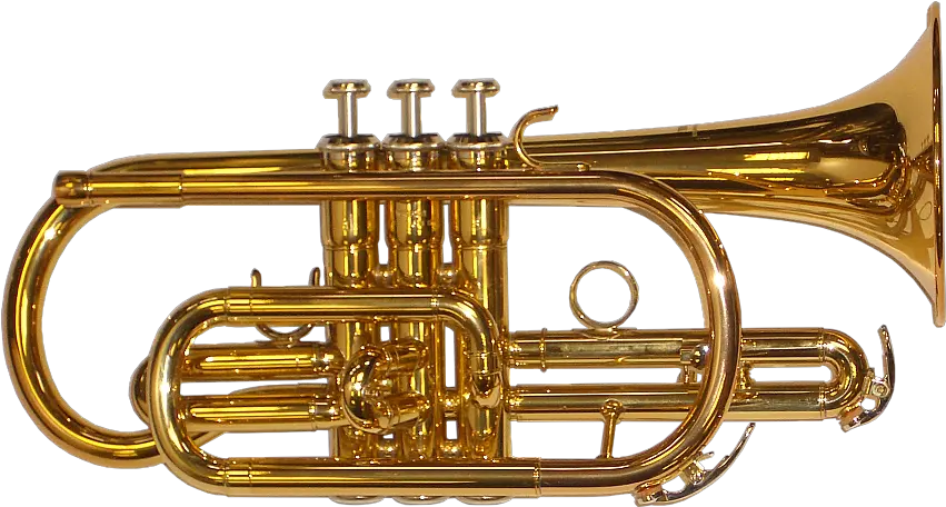  Brass Band Instrument Png Transparent Brass Instruments Png Instruments Png