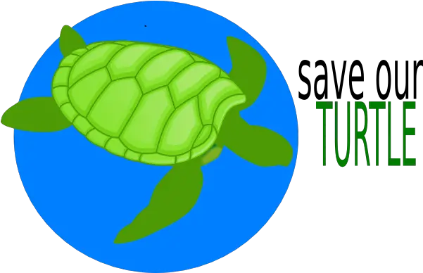  Save Our Turtle Clip Art Save Our Sea Turtles Png Turtle Clipart Png