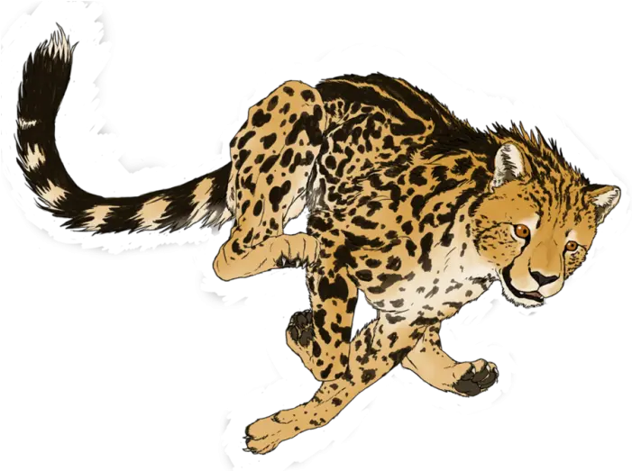  Cheetah Png Transparent Picture Cheetah Png Art Cheetah Transparent