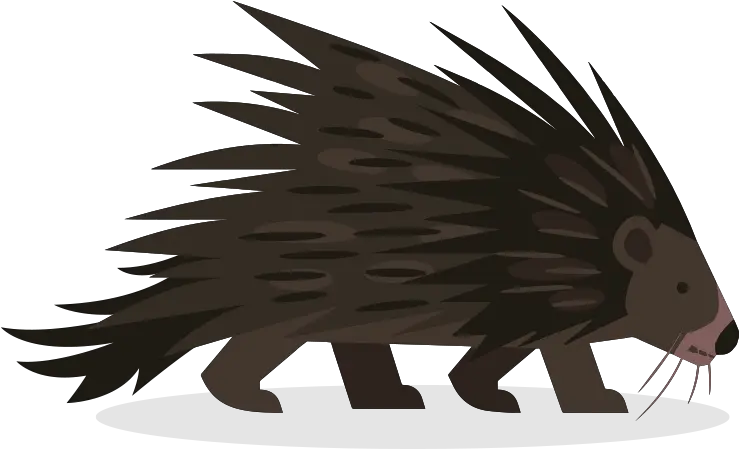  Hedgehog Clipart Tracks Porcupine Clipart Png Porcupine Png