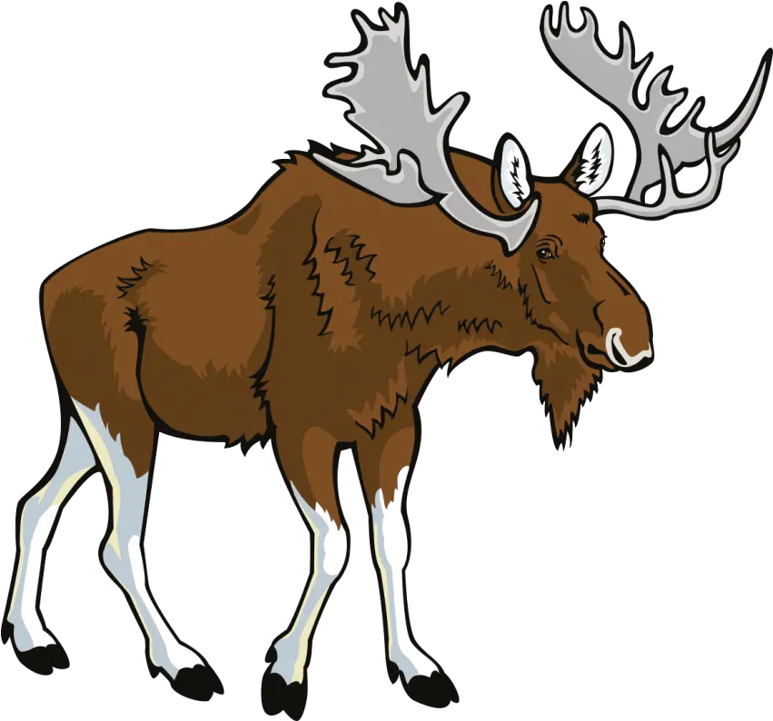  Free Png Moose Images Transparent Moose Clipart Png Moose Png