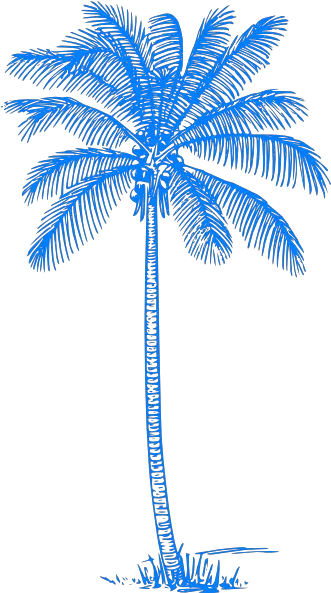  15 Palm Vector Png For Free Download Blue Palm Trees Png Palm Tree Clip Art Png