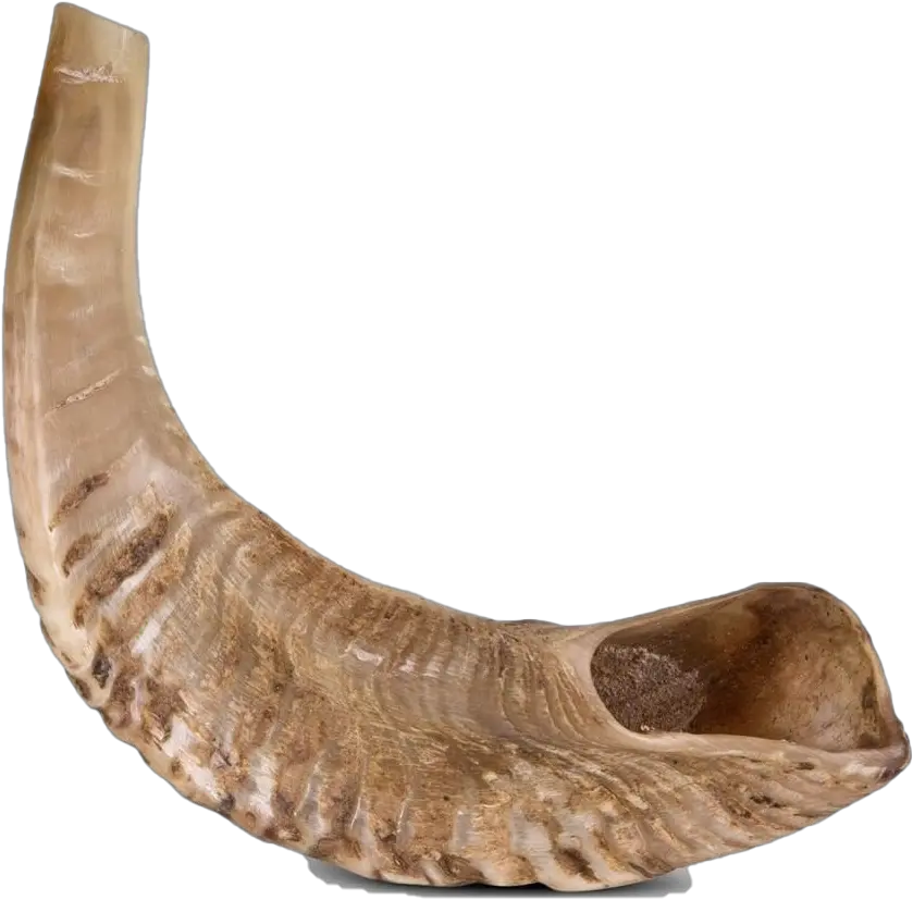  Shofar Transparent Background Shofar No Background Png Horseshoe Transparent Background