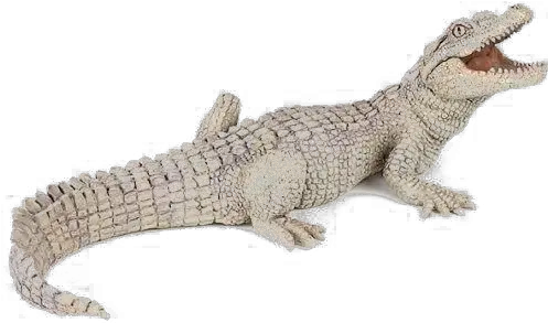  Crocodile Transparent Background Png Arts Papo White Crocodile Lizard Transparent Background