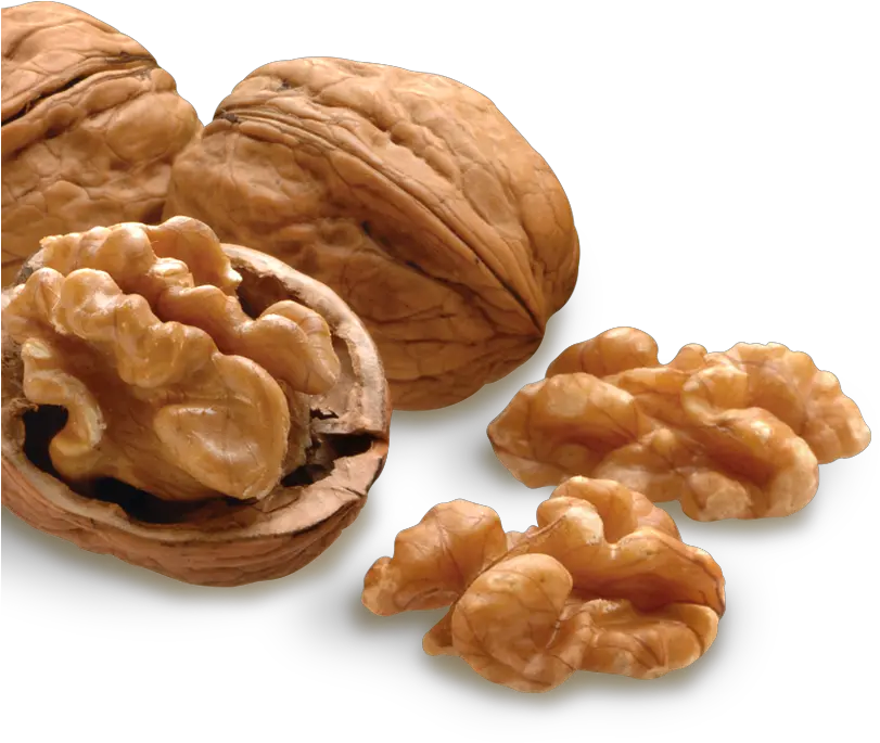  Nut Png Image Transparent Walnuts Nuts Png Nut Png