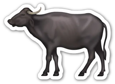  Whatsapp Emoji Buffalo Transparent Png Black Buffalo Png Water Emoji Transparent