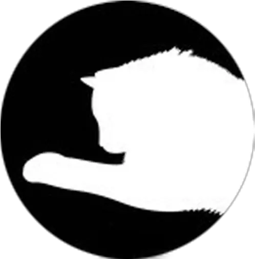  Simple Cat Toy Laser Felinae Png Cat Toy Icon