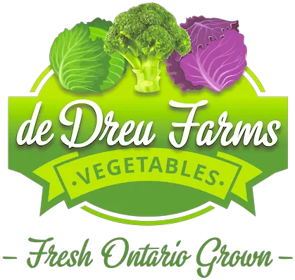  De Dreu Farms U2013 Cabbage Broccoli U0026 Kale Fresh Ontario Grown Broccoli Png Cabbage Transparent Background